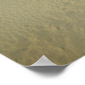 Raubvögel F-22 Poster (Ecke)
