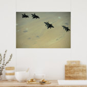 Raubvögel F-22 Poster (Küche)