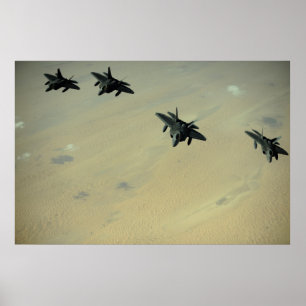 Raubvögel F-22 Poster