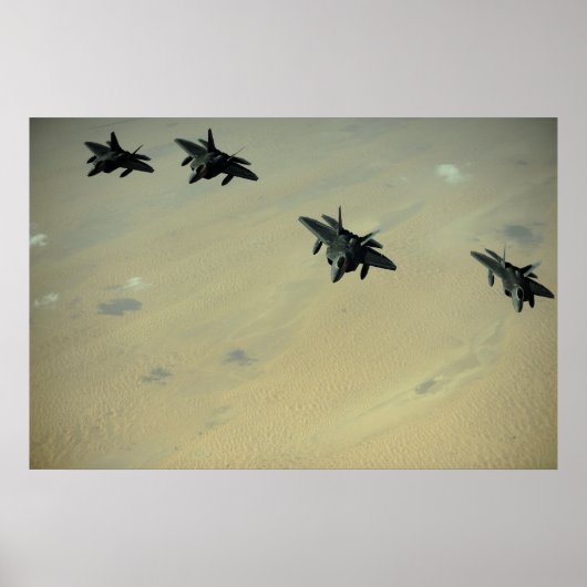 Raubvögel F-22 Poster (Vorne)