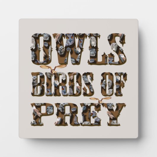 Raubvögel, Fotoplatte (Vorderseite)