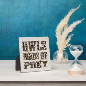 Raubvögel, Fotoplatte (InSitu)