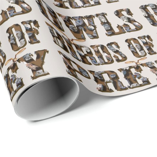 Raubvögel, Geschenkpapier (Rolleneckpunkt)