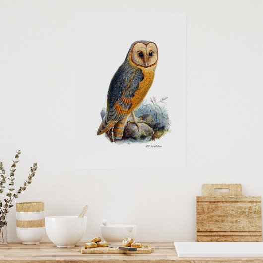 Raubvögel ~ Hausschuhe Poster (Küche)