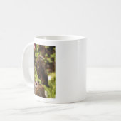 Raubvögel Kaffeetasse (Vorderseite Links)