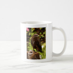Raubvögel Kaffeetasse