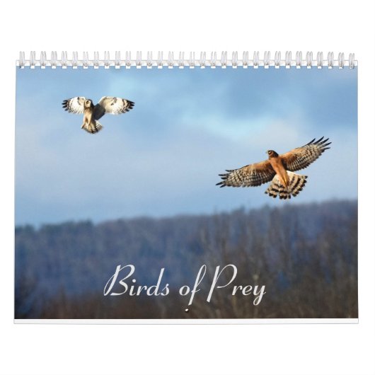 Raubvögel Kalender (Titelbild)