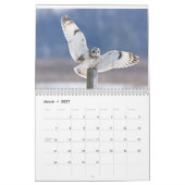 Raubvögel Kalender (Mär 2027)