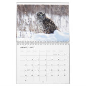 Raubvögel Kalender (Jan 2027)
