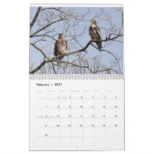 Raubvögel Kalender (Feb 2027)