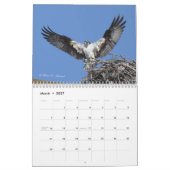 Raubvogel-Kalender 2010 Kalender (Mär 2027)