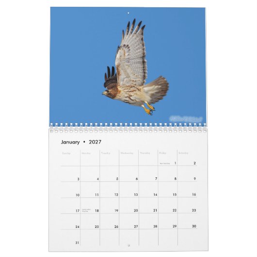 Raubvogel-Kalender 2010 Kalender (Jan 2027)