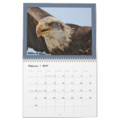 Raubvogel-Kalender 2010 Kalender (Feb 2027)