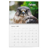 Raubvogel-Kalender Kalender (Jan 2027)