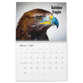 Raubvogel-Kalender Kalender (Feb 2027)