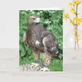 Raubvogel Karte (Gelbe Blume)