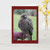 Raubvogel Karte (Gelbe Blume)