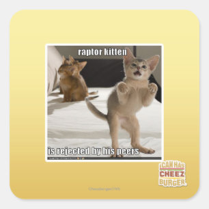 Raubvogel-Kätzchen Quadratischer Aufkleber