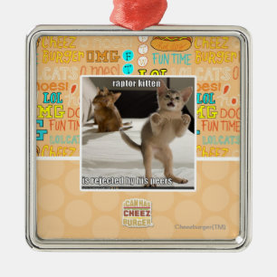 Raubvogel-Kätzchen Silbernes Ornament