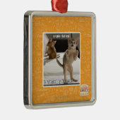 Raubvogel-Kätzchen Silbernes Ornament (Rechts)