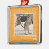 Raubvogel-Kätzchen Silbernes Ornament (Links)