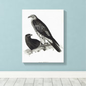 Raubvögel Leinwanddruck (Insitu (Holzboden))