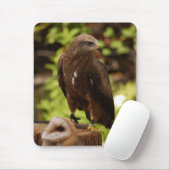 Raubvögel Mousepad (Mit Mouse)