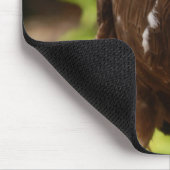Raubvögel Mousepad (Ecke)