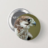 Raubvogel nahes hohes des Falken Button (Vorne & Hinten)