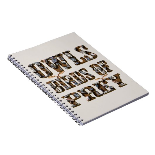 Raubvögel, Notizblock (Rechte Seite)