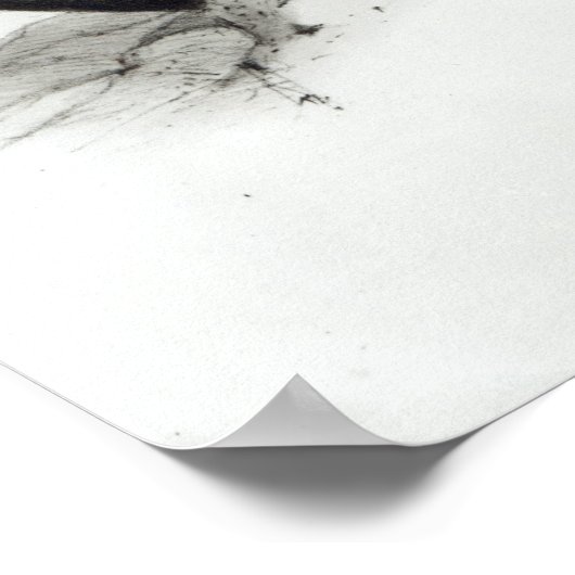 Raubvögel Poster (Ecke)