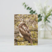 Raubvogel Postkarte (Stehend Vorderseite)