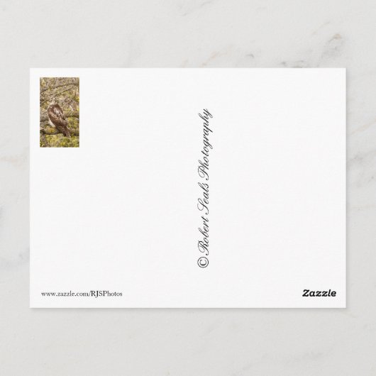 Raubvogel Postkarte (Rückseite)