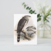 Raubvogel Postkarte (Stehend Vorderseite)