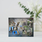 Raubvögel, Postkarte 19dk-z (Stehend Vorderseite)