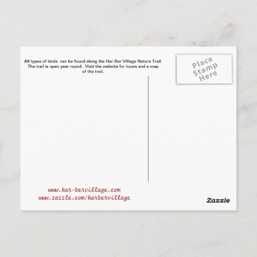 Raubvögel, Postkarte 19dk-z (Rückseite)