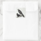 Raubvögel Quadratischer Aufkleber (Tasche)