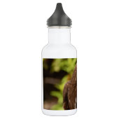 Raubvögel Trinkflasche (Links)