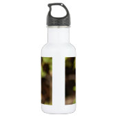 Raubvögel Trinkflasche (Rückseite)