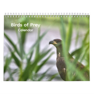 Raubvogelkalender Kalender