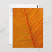 Rauch Tree Leaf Postkarte (Vorne/Hinten)