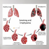 Rauchen und Emphysema Poster (Vorne)
