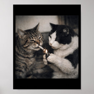 Rauchende Katze Zigarette Kätzchen Lustiges Meme D Poster