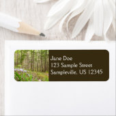 Raucher-Bergweg im Frühling (Insitu)