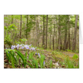 Raucher-Bergweg im Frühling (Vorderseite (Horizontal))