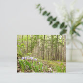 Raucher-Bergweg im Frühling Postkarte (Stehend Vorderseite)
