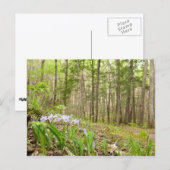 Raucher-Bergweg im Frühling Postkarte (Vorne/Hinten)