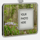 Raucher-Bergweg im Frühling Rahmen-Ornament Silber (Rechts)