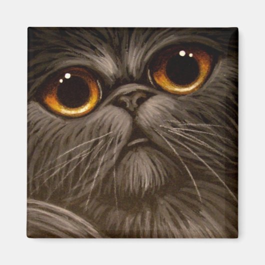 RAUCHER PERSIAN CAT-MALETTE 1 MÖGLICHKEIT MAGNET (Vorne)