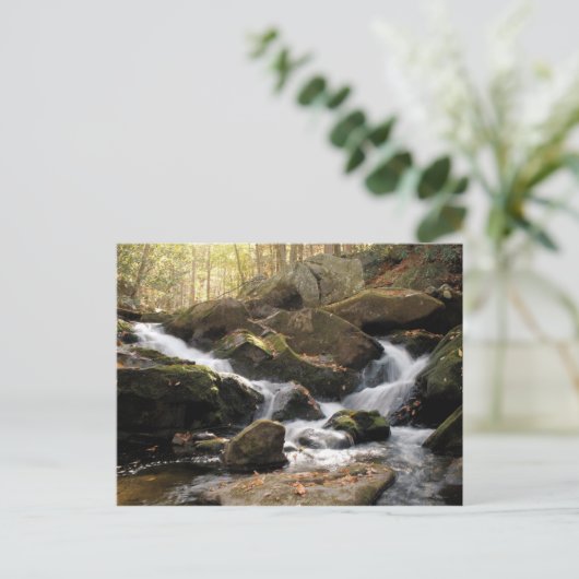 Raucher-Wasserfall II Postkarte (Stehend Vorderseite)